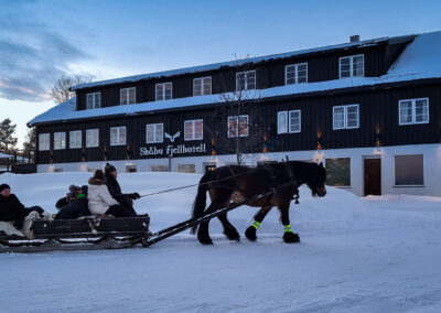 Hest og slede - Skåbu Fjellhotell