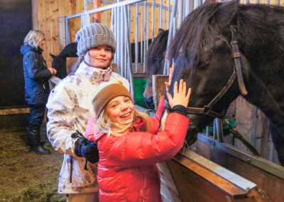 Hestene på Lykkja Fjellgard - Skåbu Fjellhotell