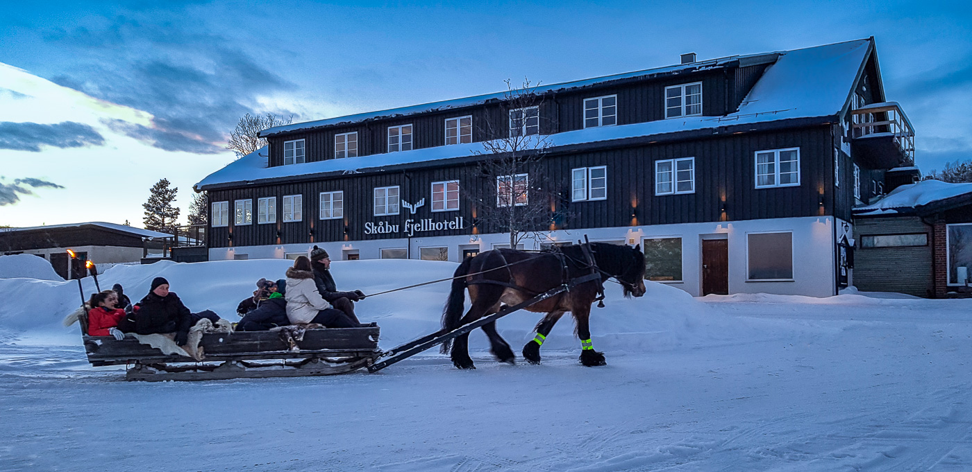 Hest og slede - Skåbu Fjellhotell