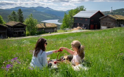 Bestill sommerpakken på Skåbu Fjellhotell